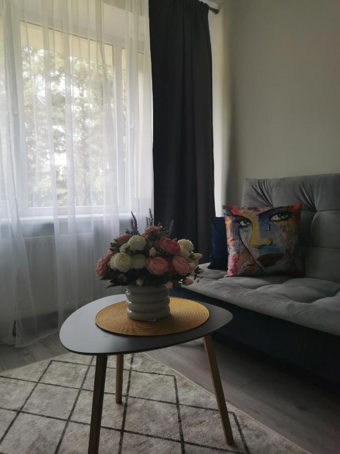 Upes Apartamentai Biržai المظهر الخارجي الصورة
